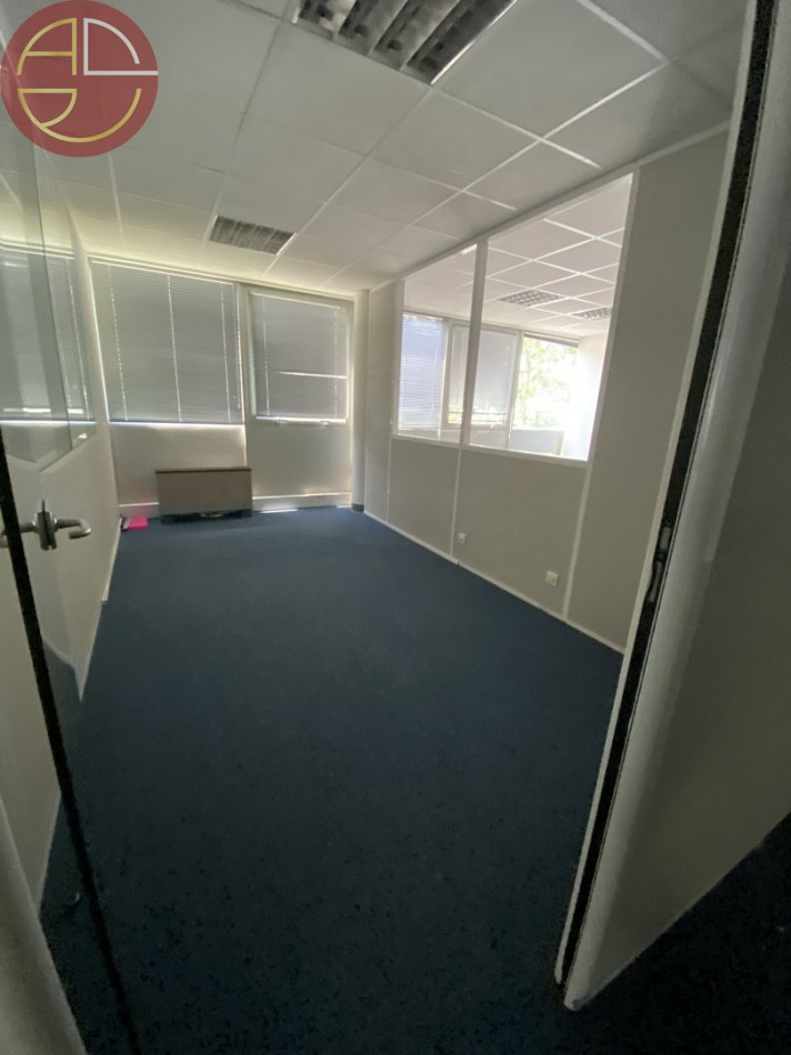 vente Entrepot Saint-alban - Photo 9