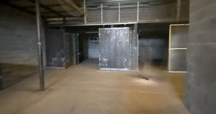 vente Entrepot Saint-alban