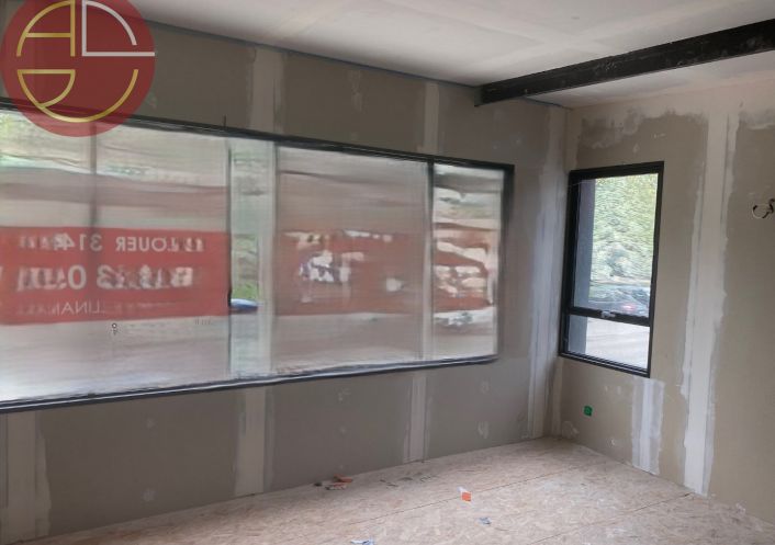 location Local commercial Muret