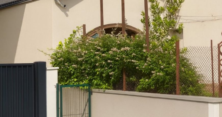 vente Bureau Toulouse