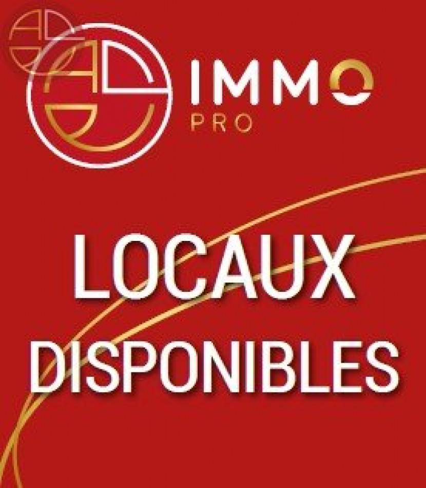 vente Terrain industriel Grisolles - Photo 7