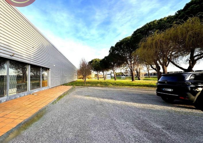 location Entrepot Pinsaguel