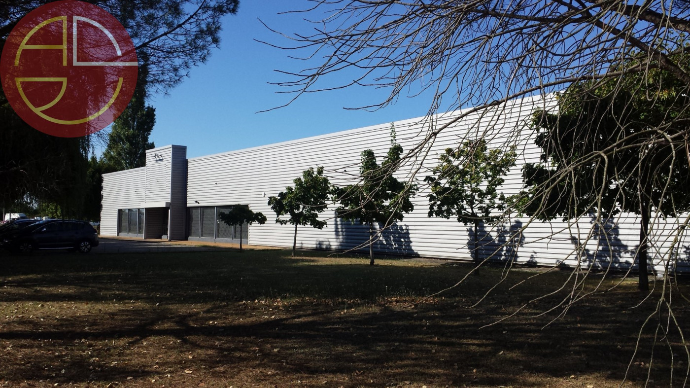 location Entrepot Pinsaguel - Photo 6