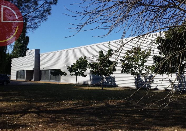 location Entrepot Pinsaguel