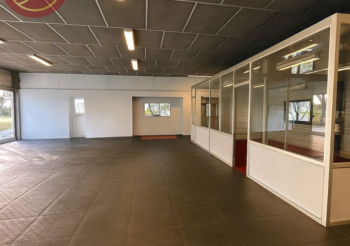 location Entrepot Pinsaguel