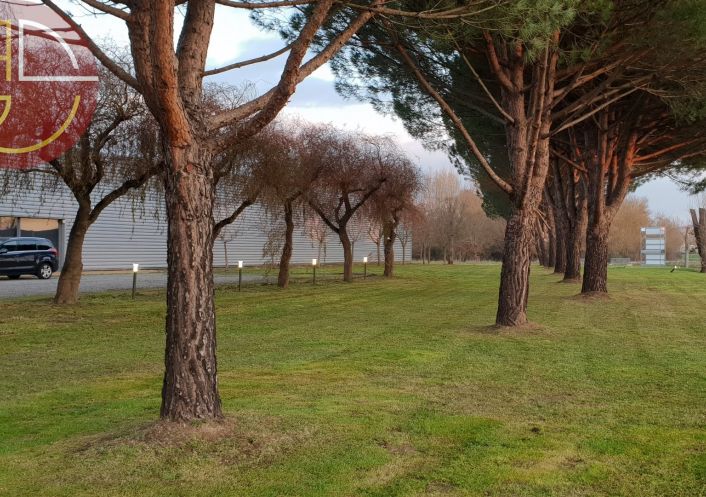 location Local commercial Pinsaguel