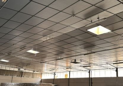 location Entrepot Muret