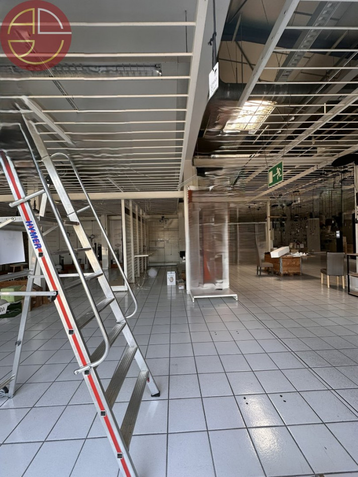 location Local commercial Portet-sur-garonne - Photo 6