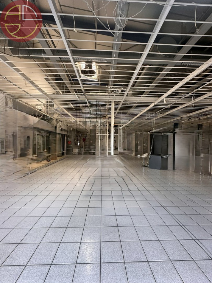 location Local commercial Portet-sur-garonne - Photo 7