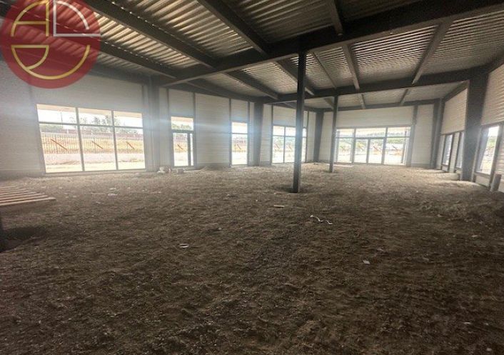 location Local commercial Pinsaguel