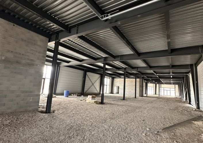 location Local commercial Pinsaguel