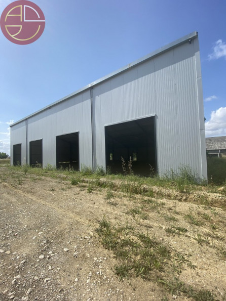 location Entrepot Verfeil - Photo 3