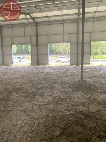 location Entrepot Verfeil - Photo 1