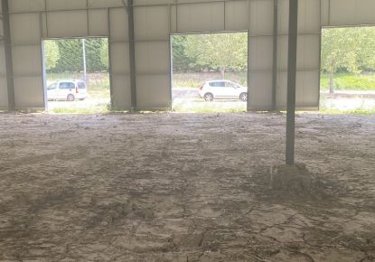 location Entrepot Verfeil