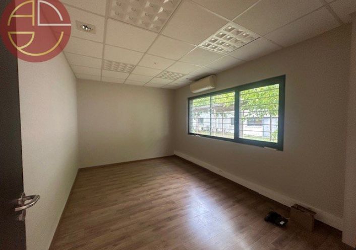 location Entrepot Montrabe