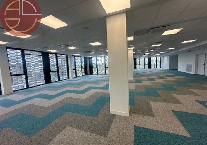 location Bureau Labege