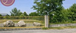 vente Terrain industriel Toulouse