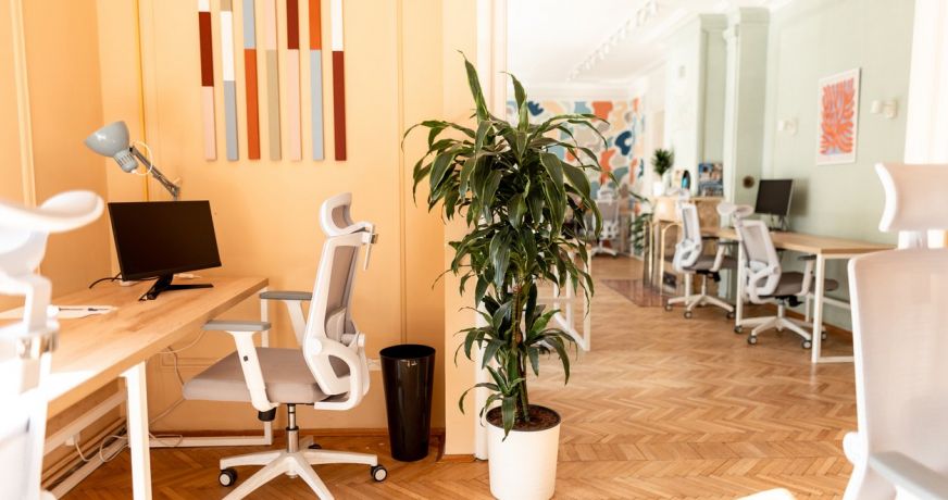 location Bureau Labege