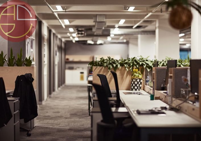 location Local commercial Toulouse