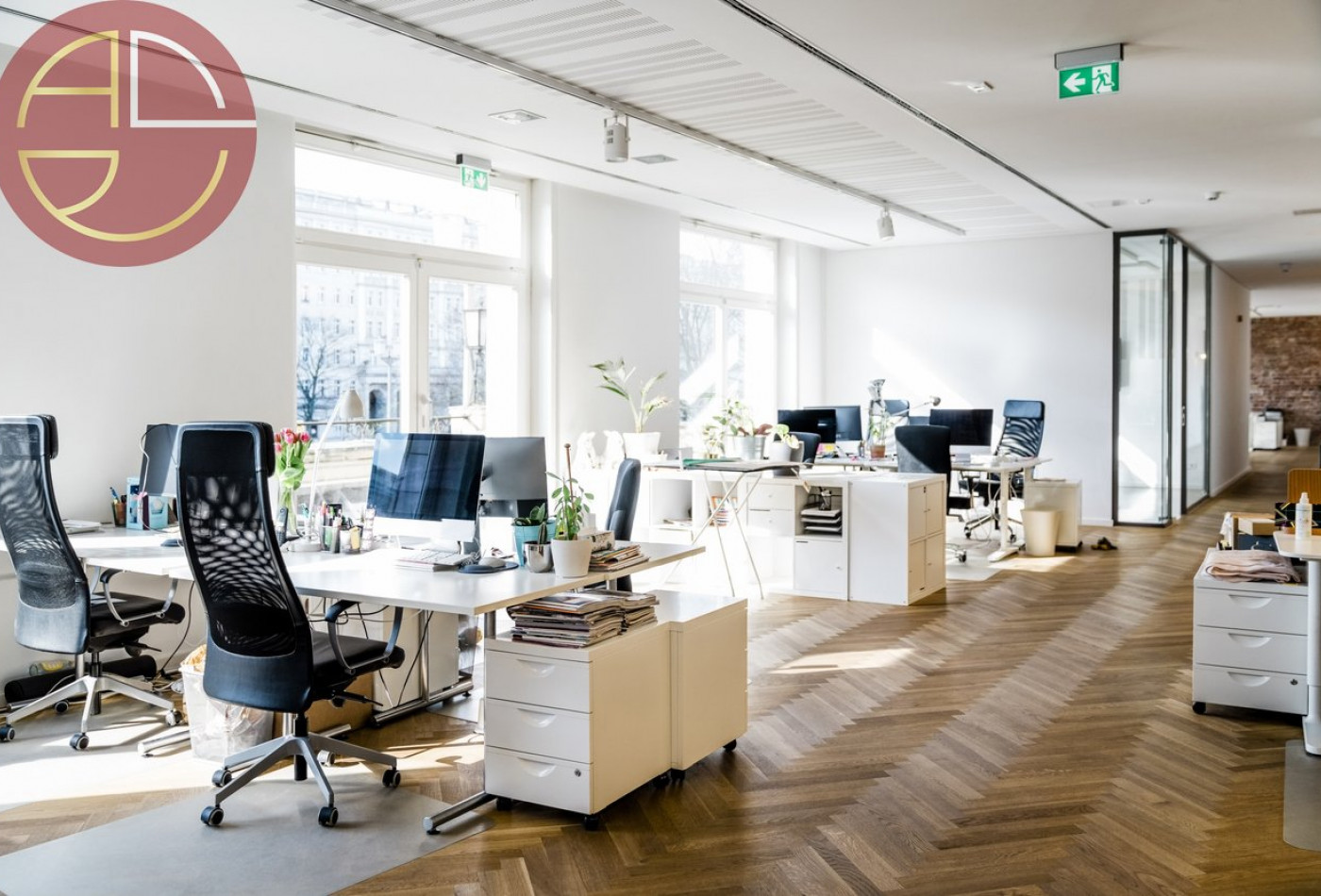 location Bureau Toulouse - Photo 4