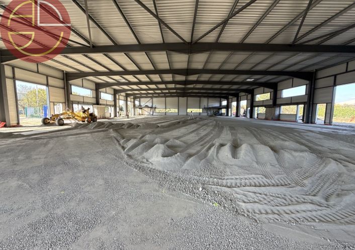 vente Entrepot Portet-sur-garonne
