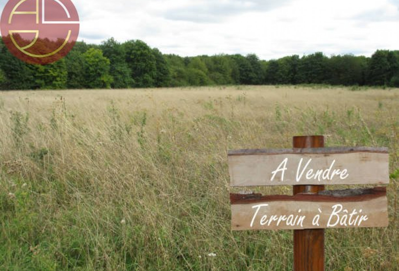 vente Terrain industriel Villeneuve-tolosane - Photo 1