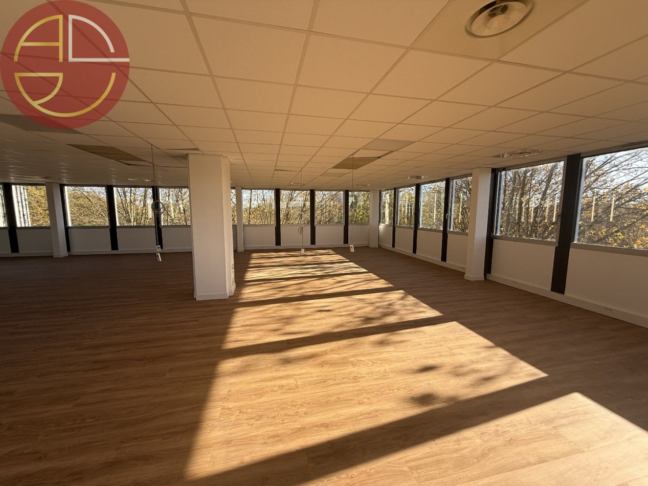 location Bureau Labege - Photo 2