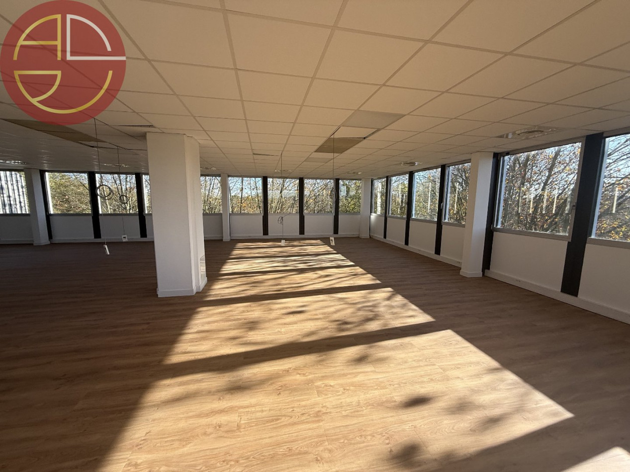 location Bureau Labege - Photo 3