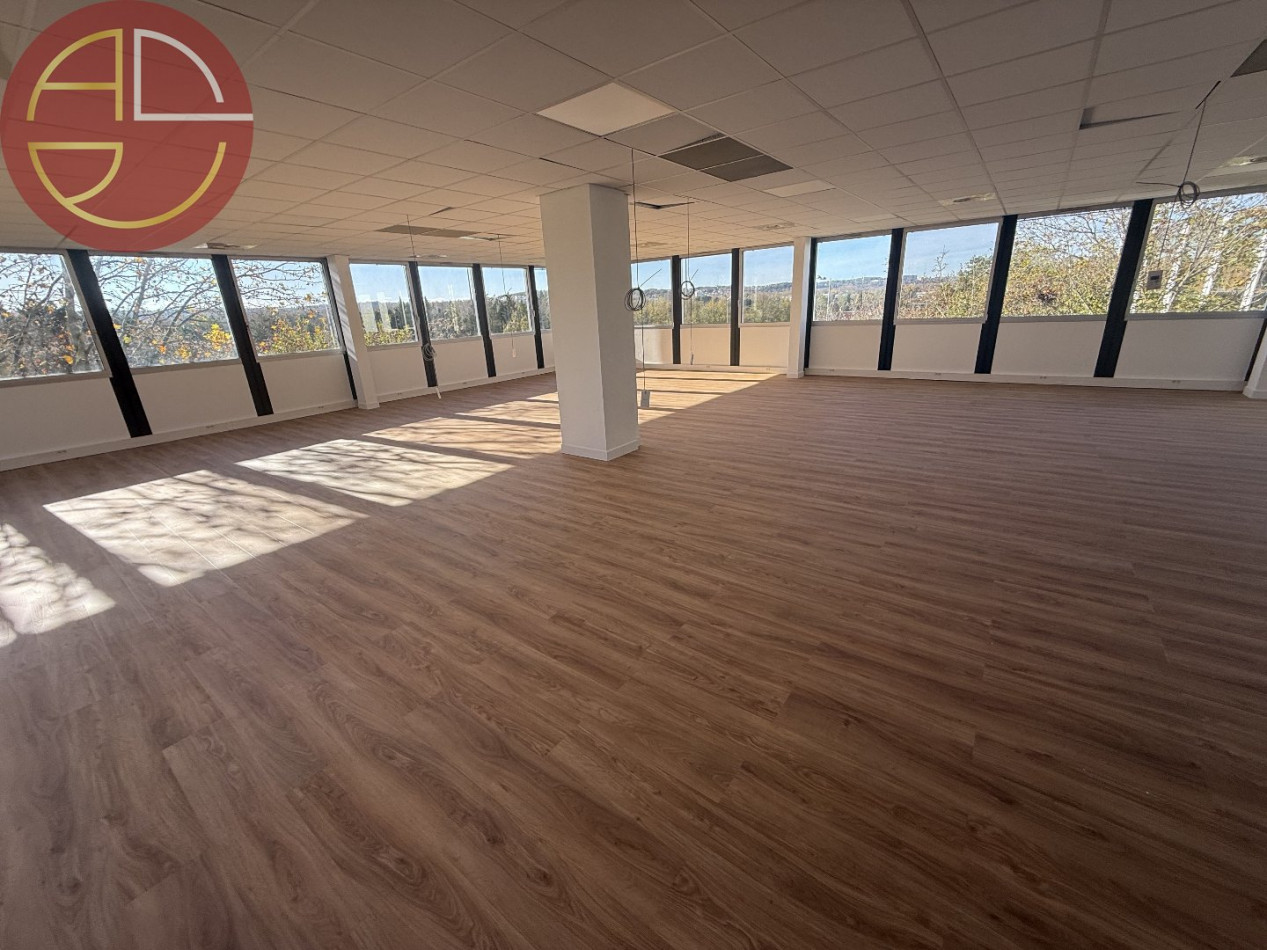 location Bureau Labege - Photo 4