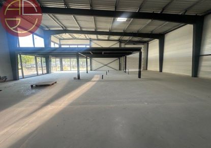 location Entrepot Fenouillet