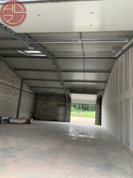 location Entrepot Rouffiac Tolosan - Photo 3