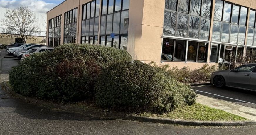 vente Bureau Toulouse