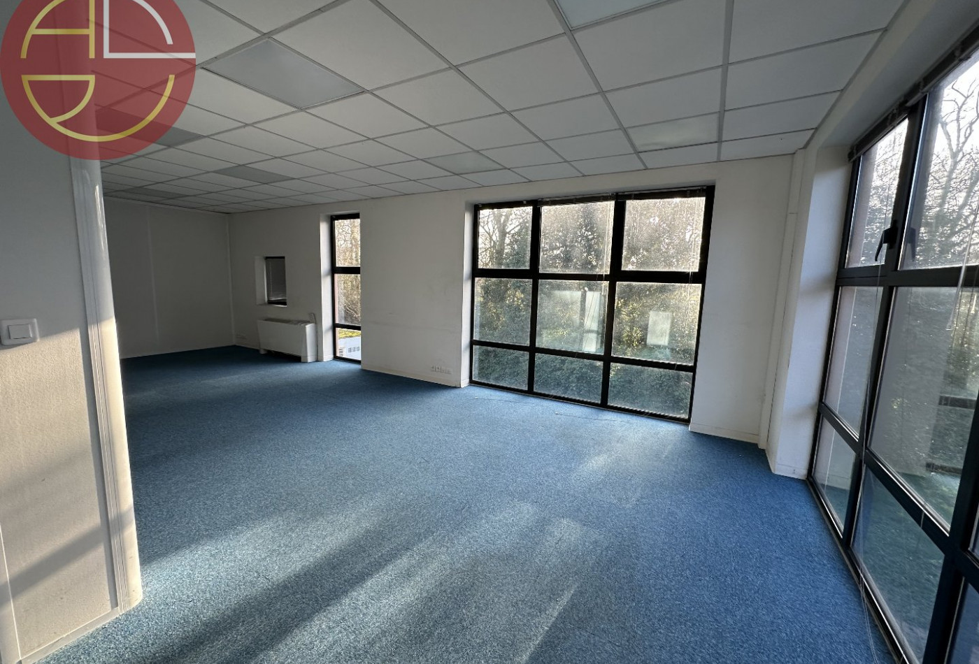 location Bureau Ramonville-saint-agne - Photo 4