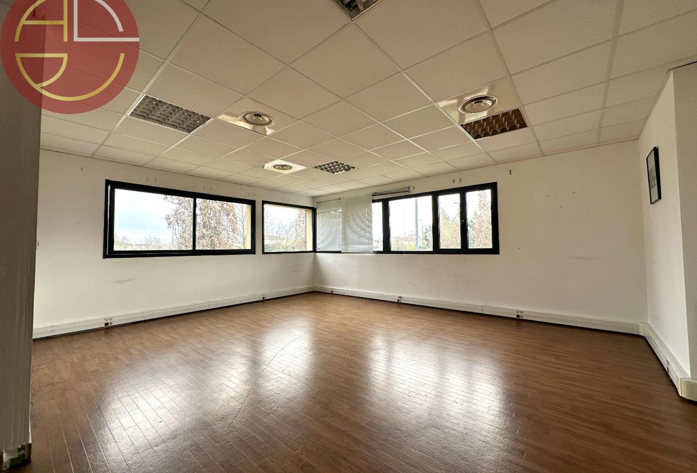 location Bureau Blagnac - Photo 2