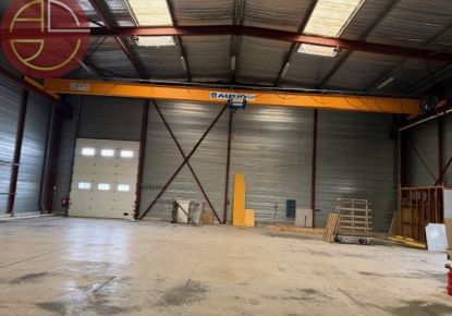 vente Entrepot Plaisance-du-touch