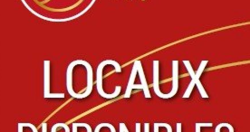 vente Terrain industriel Grisolles