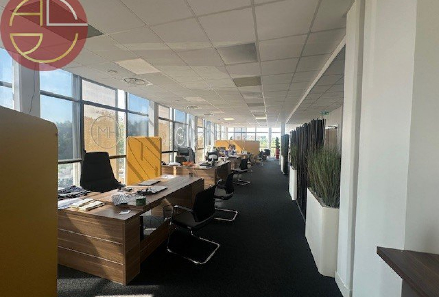 location Bureau Labege - Photo 2