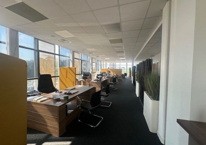 location Bureau Labege