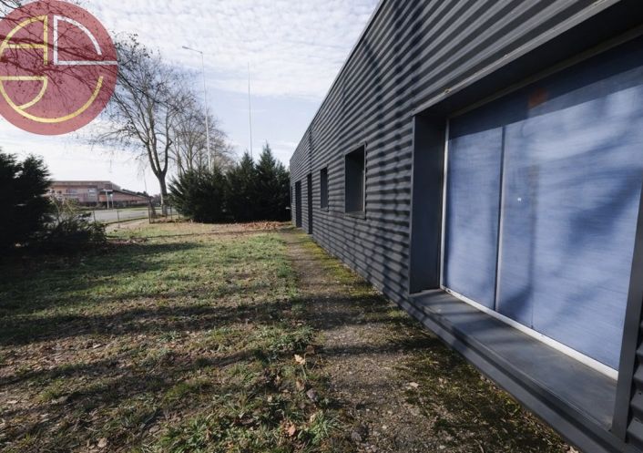 vente Local commercial Plaisance-du-touch