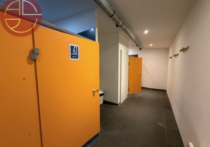 vente Local commercial Plaisance-du-touch