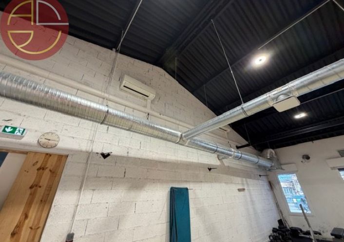 vente Local commercial Plaisance-du-touch