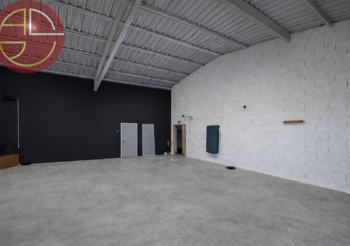 vente Entrepot Plaisance-du-touch