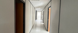 location Entrepot Beaupuy