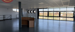 location Local commercial Saint-lys