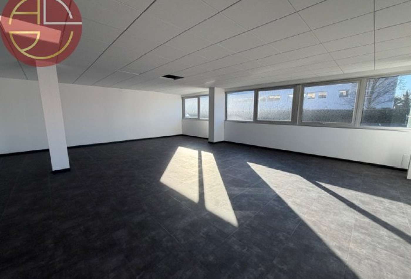 location Bureau Blagnac - Photo 1