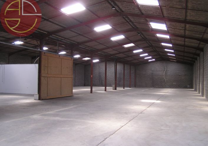 location Entrepot Saint-alban
