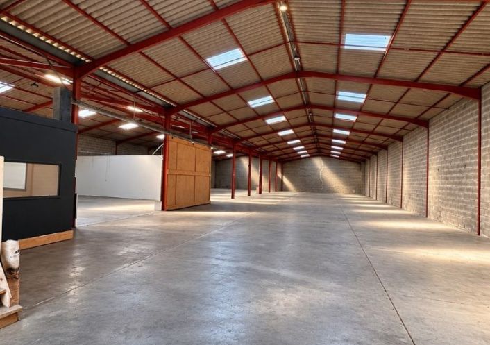 location Entrepot Saint-alban