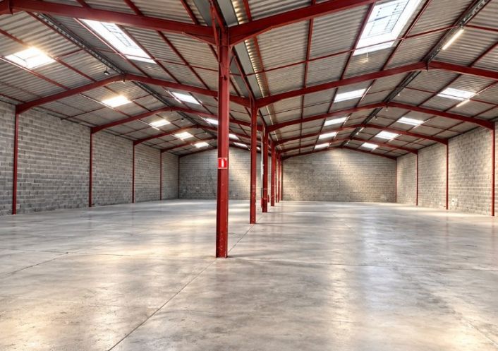 location Entrepot Saint-alban