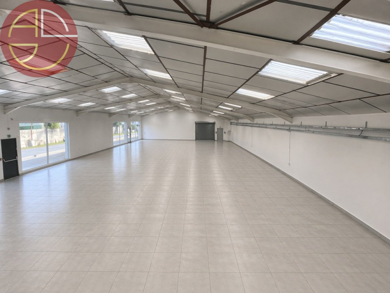 vente Entrepot Plaisance Du Touch - Photo 4