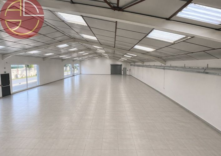 vente Entrepot Plaisance Du Touch